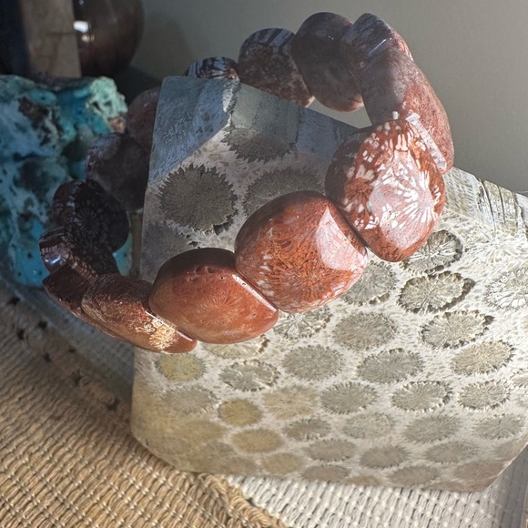 Coral Fossil Agate Beaded Elastic Bracelet - Picture 7 of 11